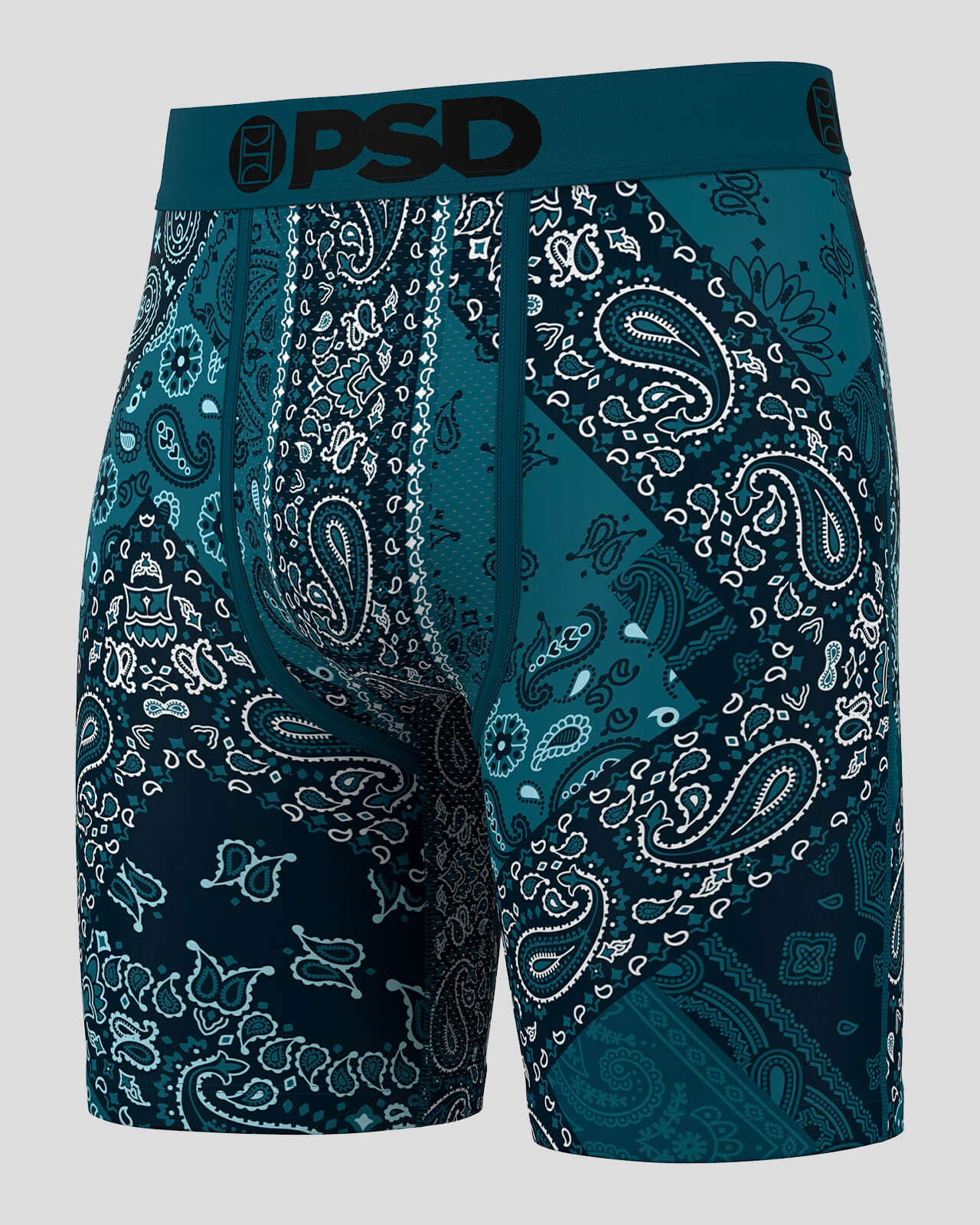 324180080-mul-paisley-maze02.
