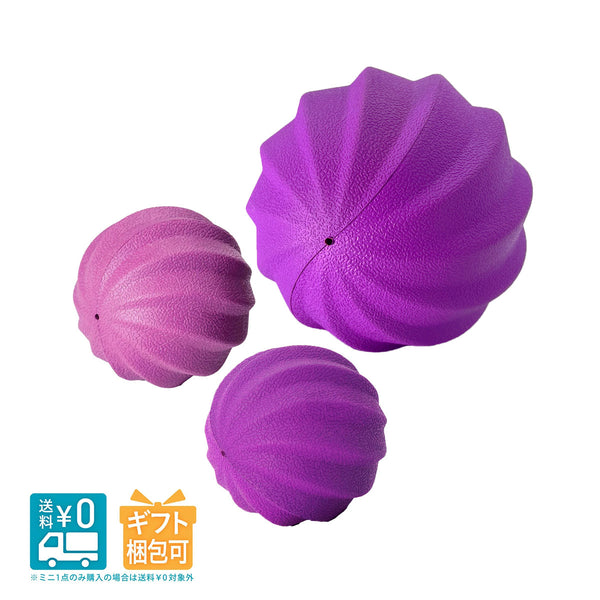 チャム サバティカル 240cmポール2本、30cmポール2本 タープポール 240 AL - 地球の、道具。サバティカル。 オフィシャル