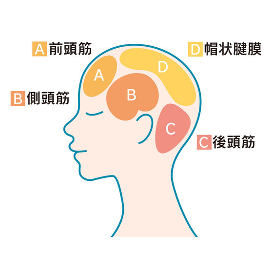 【送料無料】	頭皮ヘアケアセット【インフィ】ＳＮＳでも大人気♬